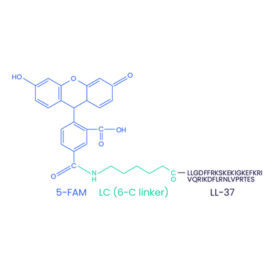 5-FAM-LL-37 (Scrambled) CAS 2022972-73-0